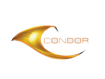 Condor Group Logo
