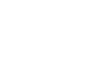 Skyscape Altius logo